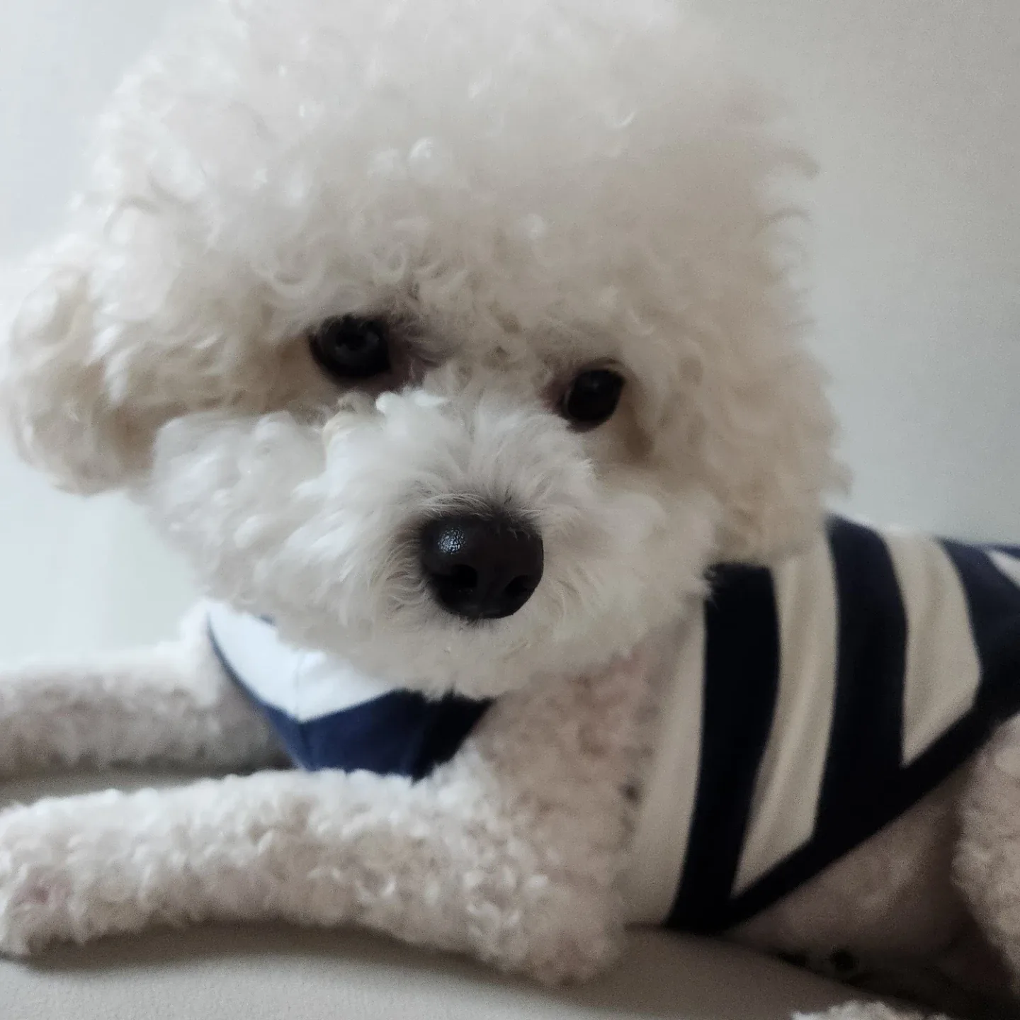반지야