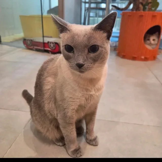 수원주민