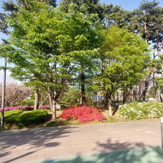티파니