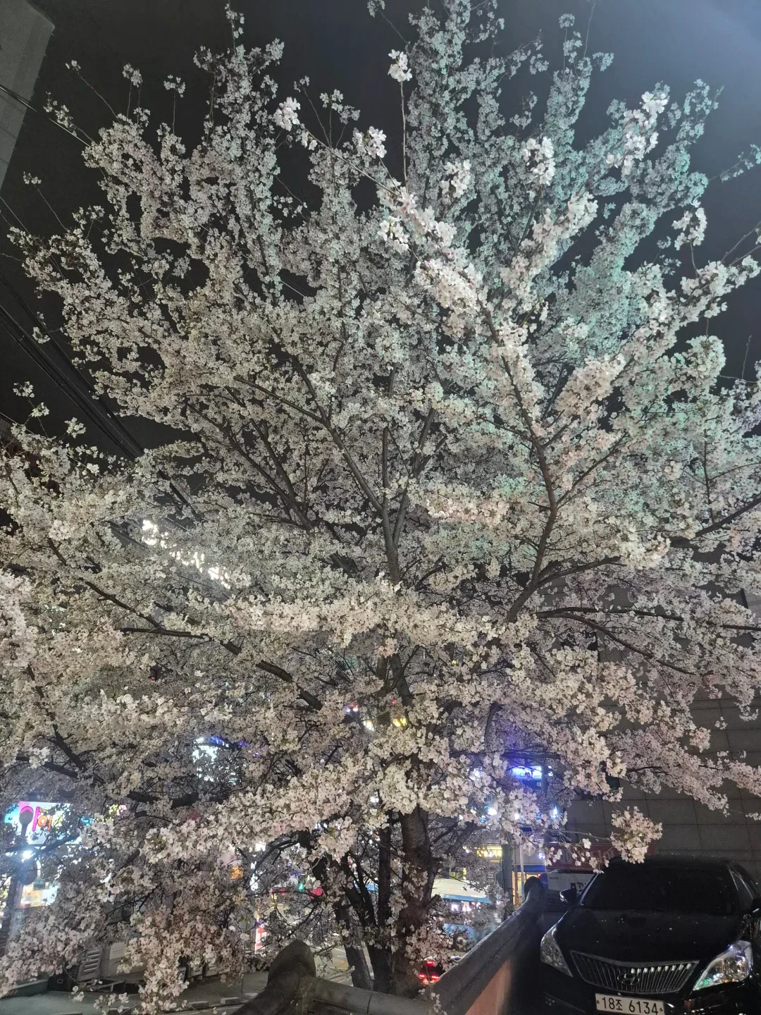 마음이