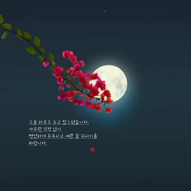 송이