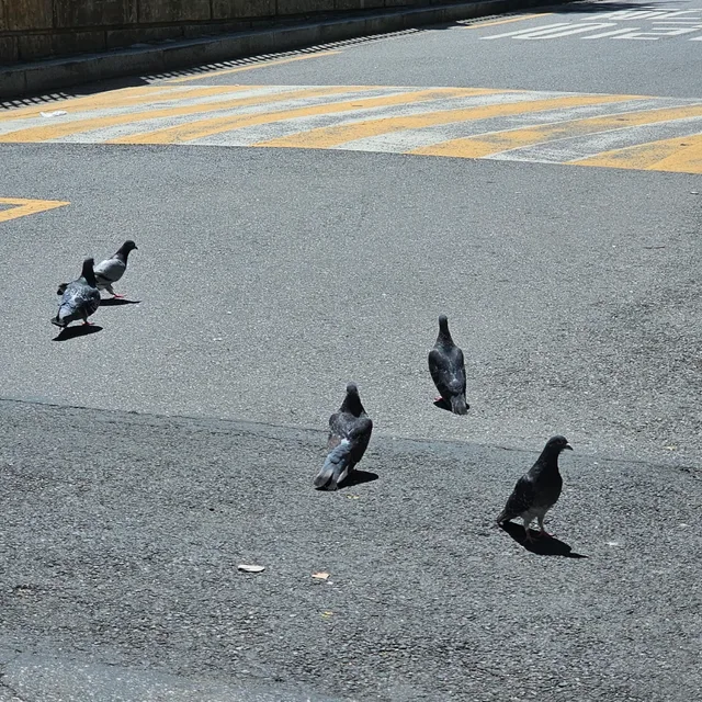 하인리히