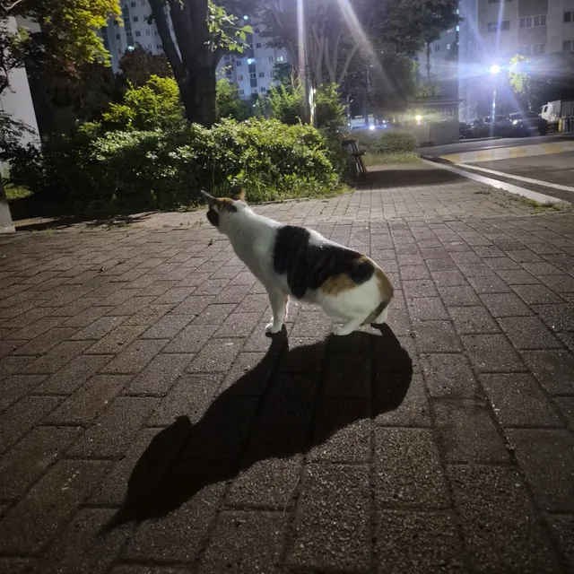 귀여운배선생