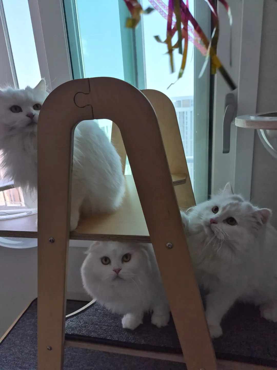 꾸대디