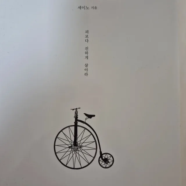 구름속달빛