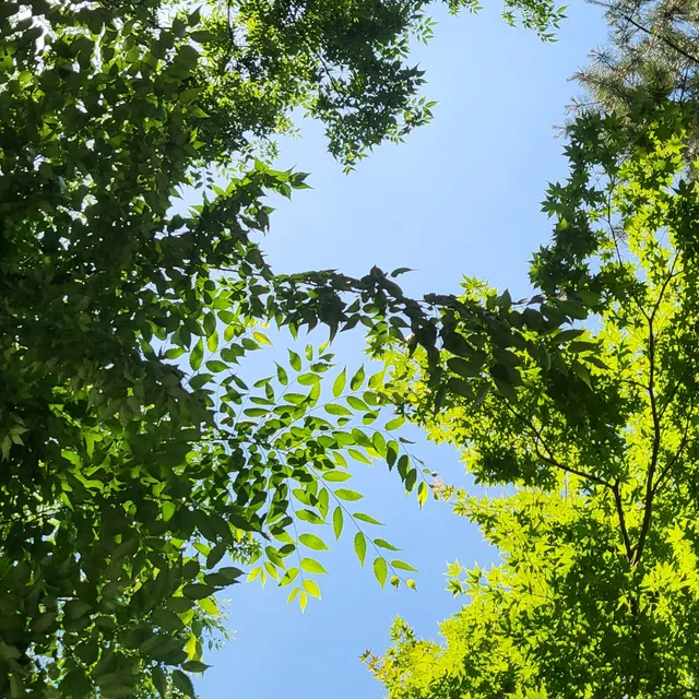 왕부자