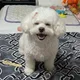 우리힘내봐요