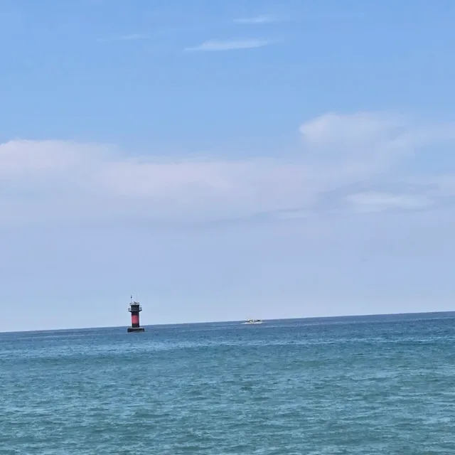 적토마조