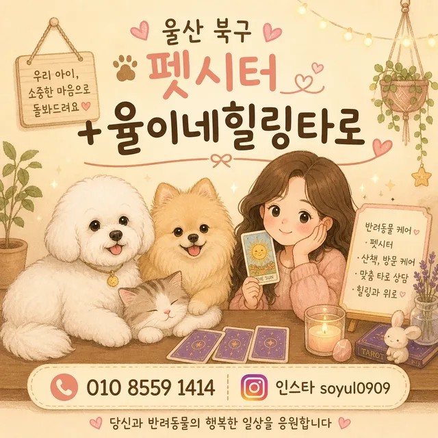 뚱이땡이