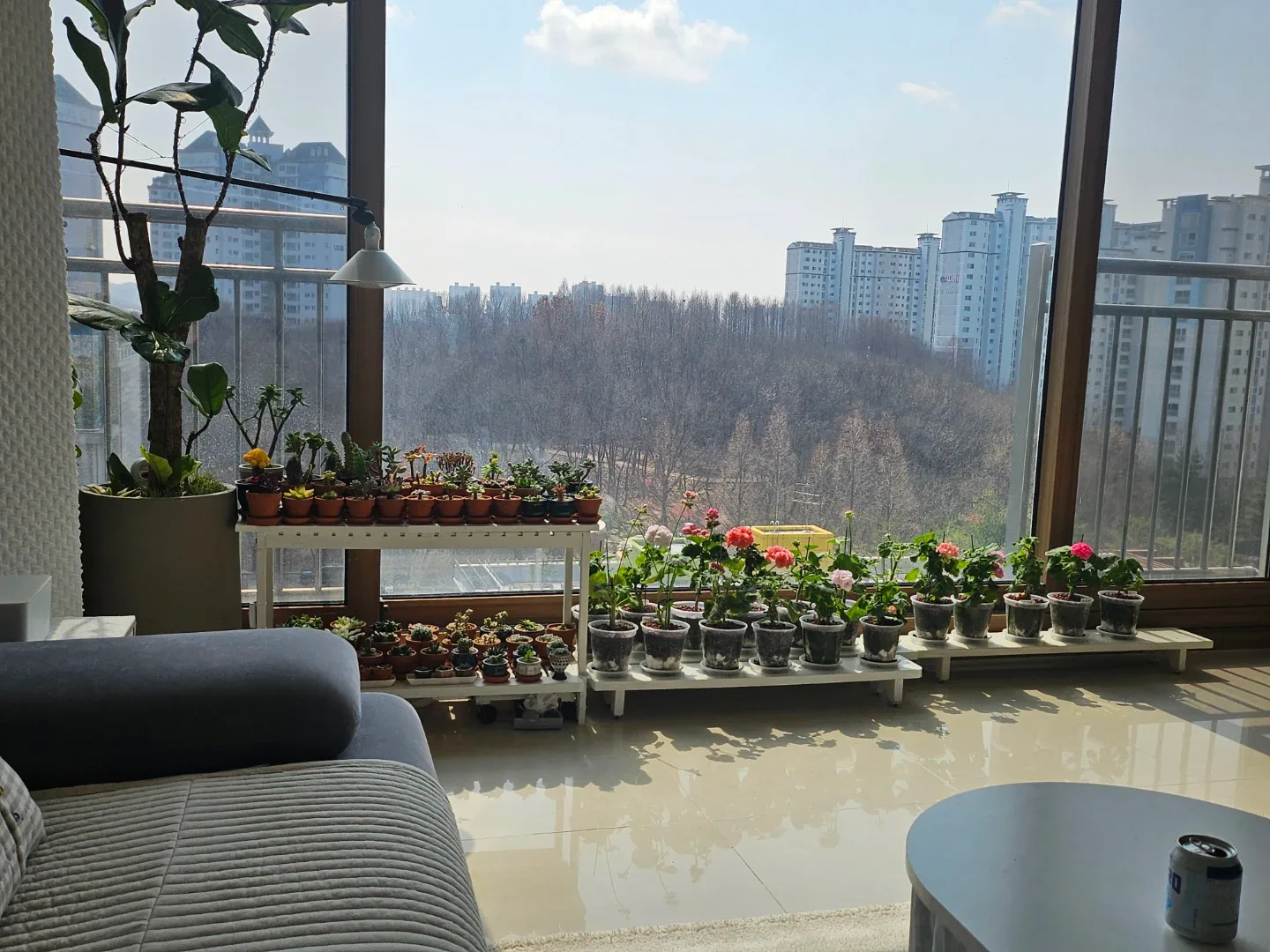 모두살아남자