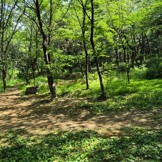 이슬