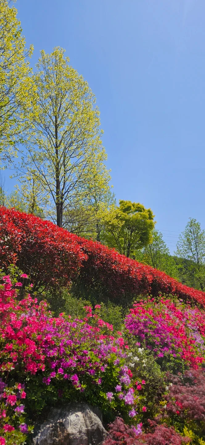 잘될거야