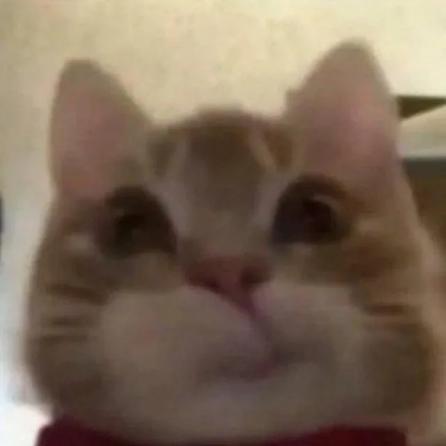 키키
