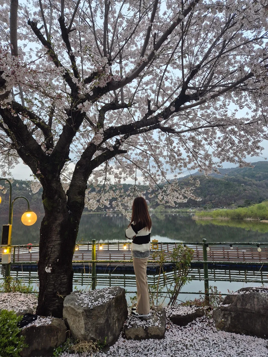 써니day