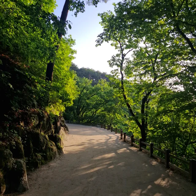 오이공주