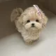 구름