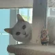 마롱이73일동