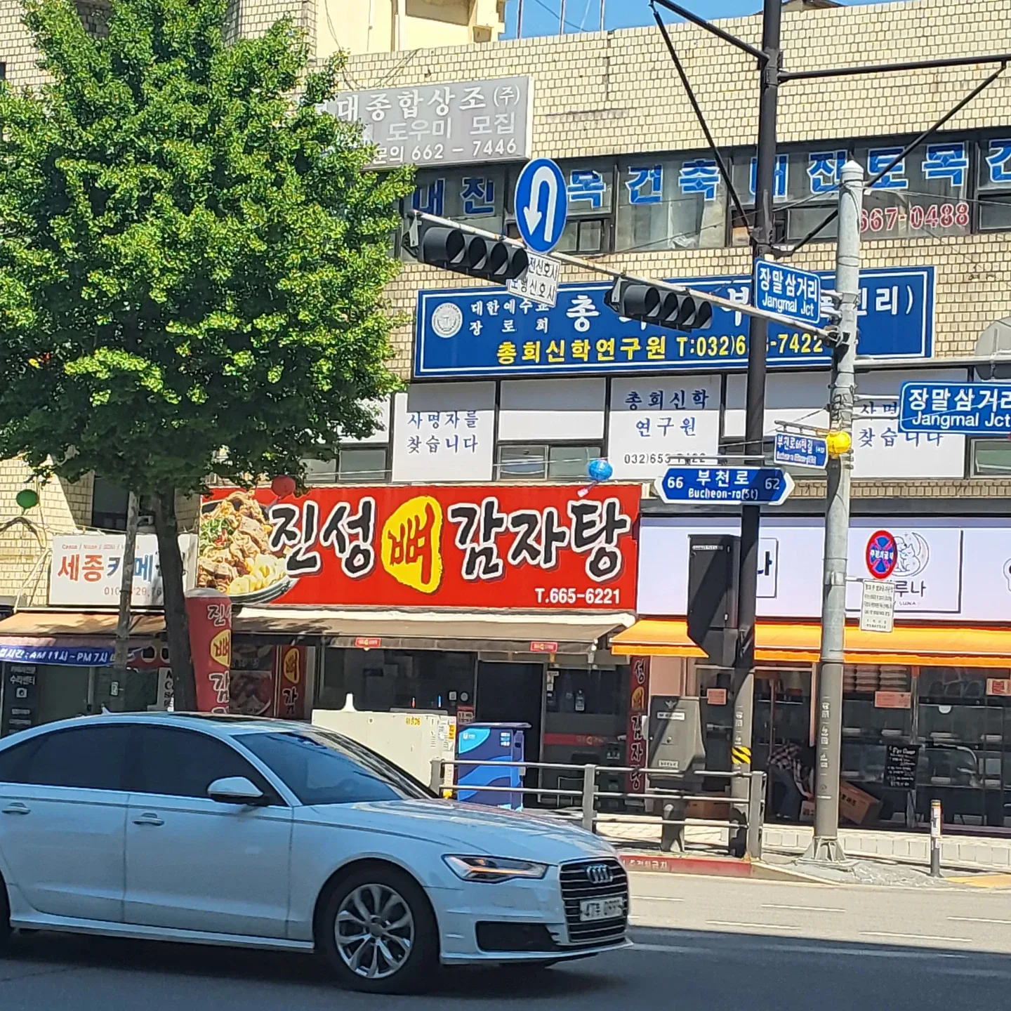 장진성
