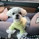 누리