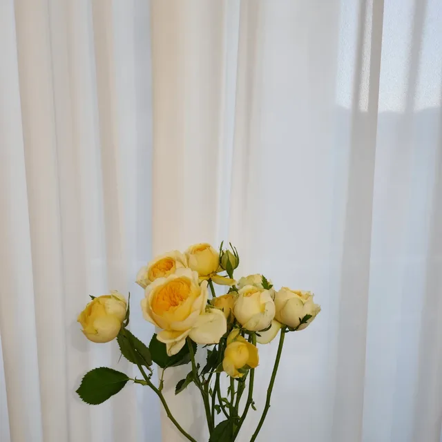 옥순