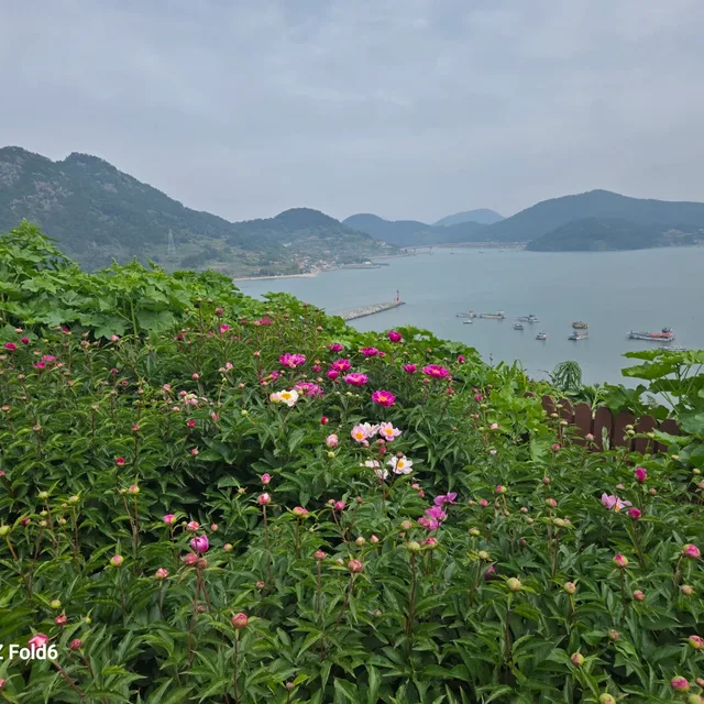 새벽