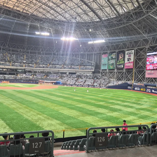 도도동동