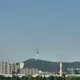 둥지소