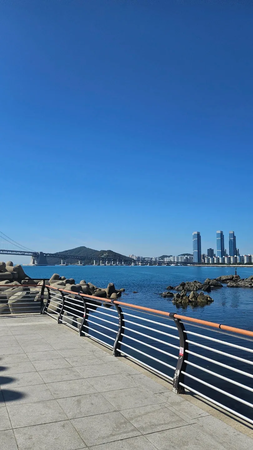 설레이는날