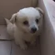 목땡땡