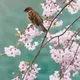 일상