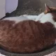 아이쿠야