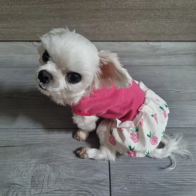 봄이맘