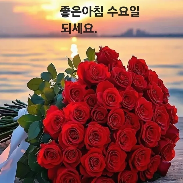 보라빛