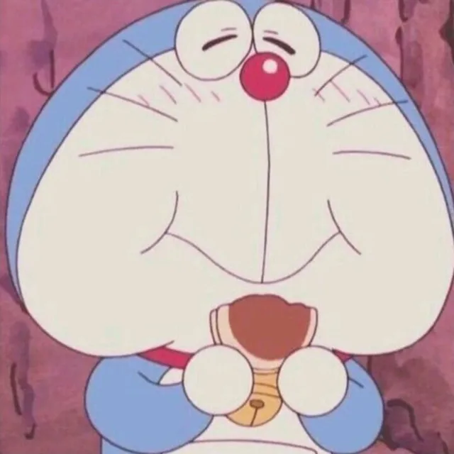 신희연