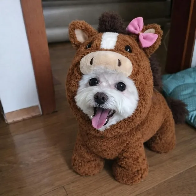 이승사자