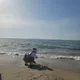 행운이