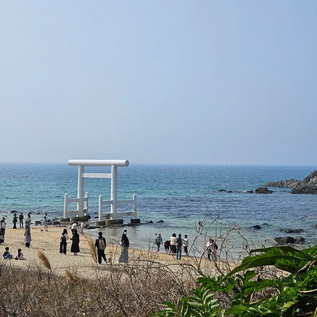동백왕