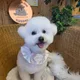 위버멘쉬