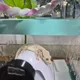 삐약이
