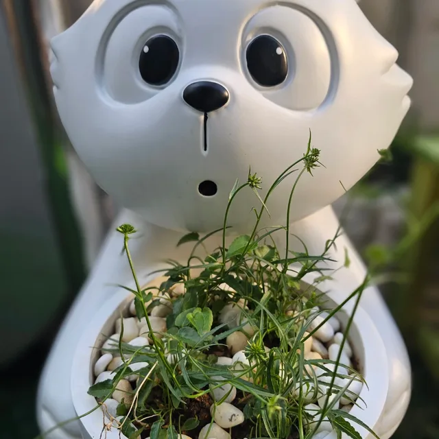 행복한세상