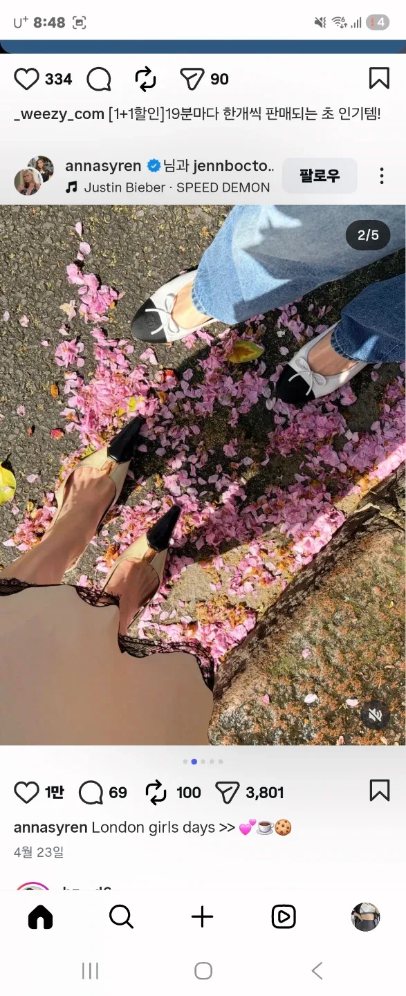 숙이쌤