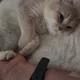 당근을먹습니다