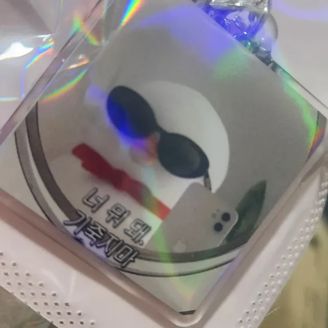 우리집고양이