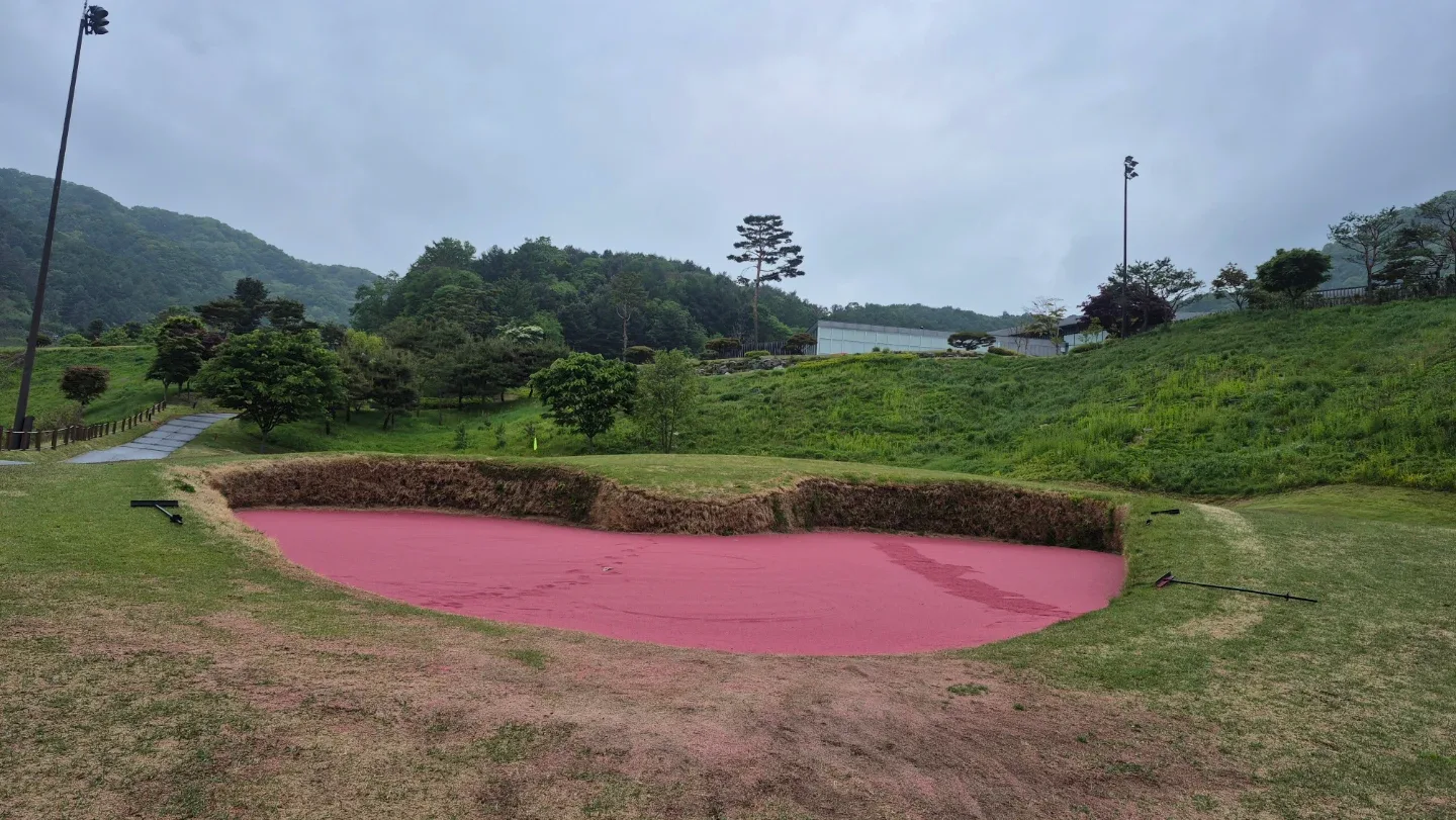 매너거래
