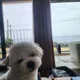 토끼와거북