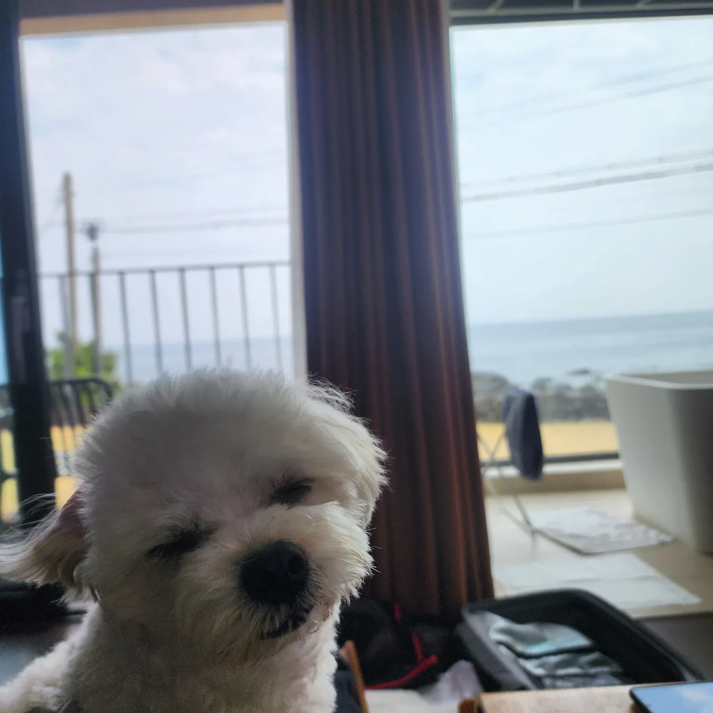 토끼와거북