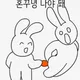 백도