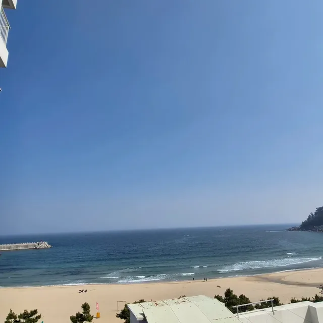 옆집언닝