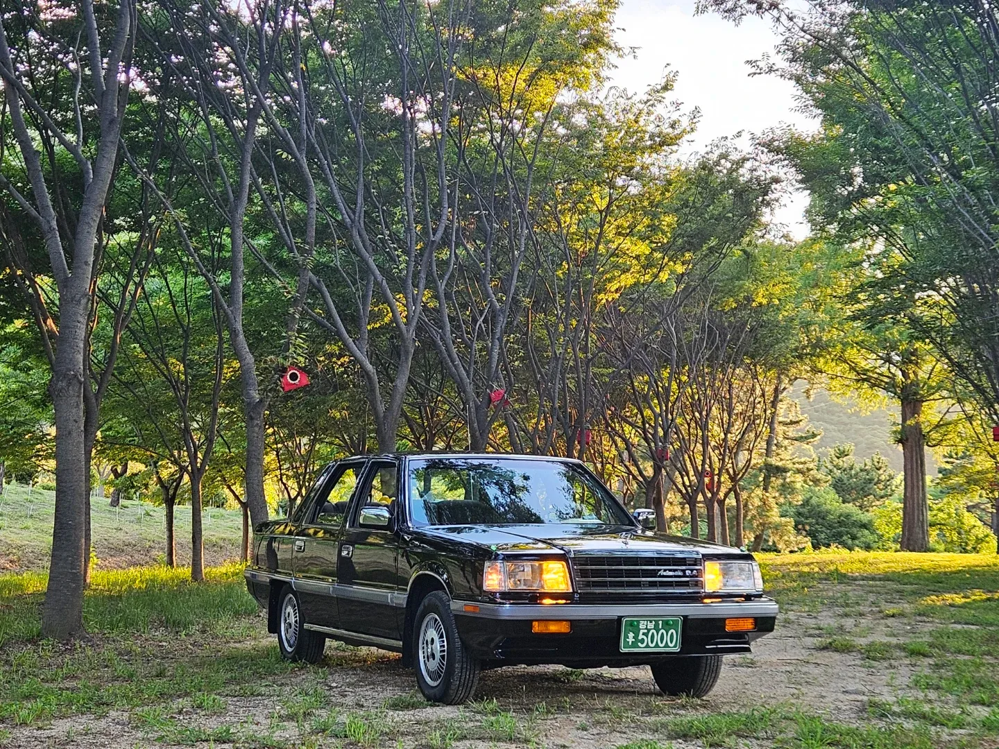 profile