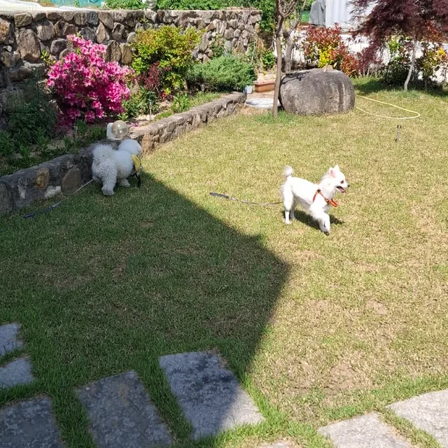 밝은날